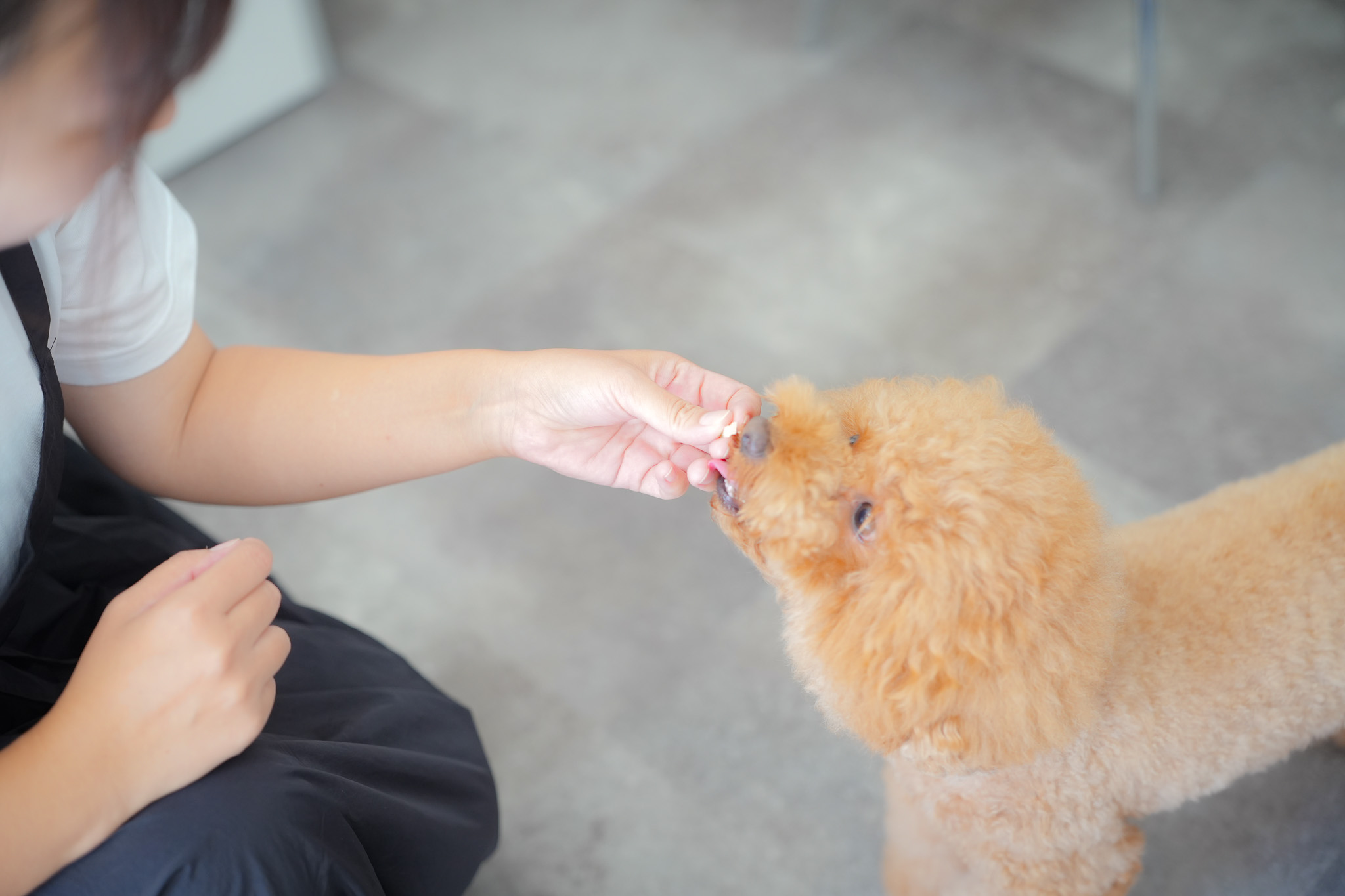 親切で安心な飼育相談