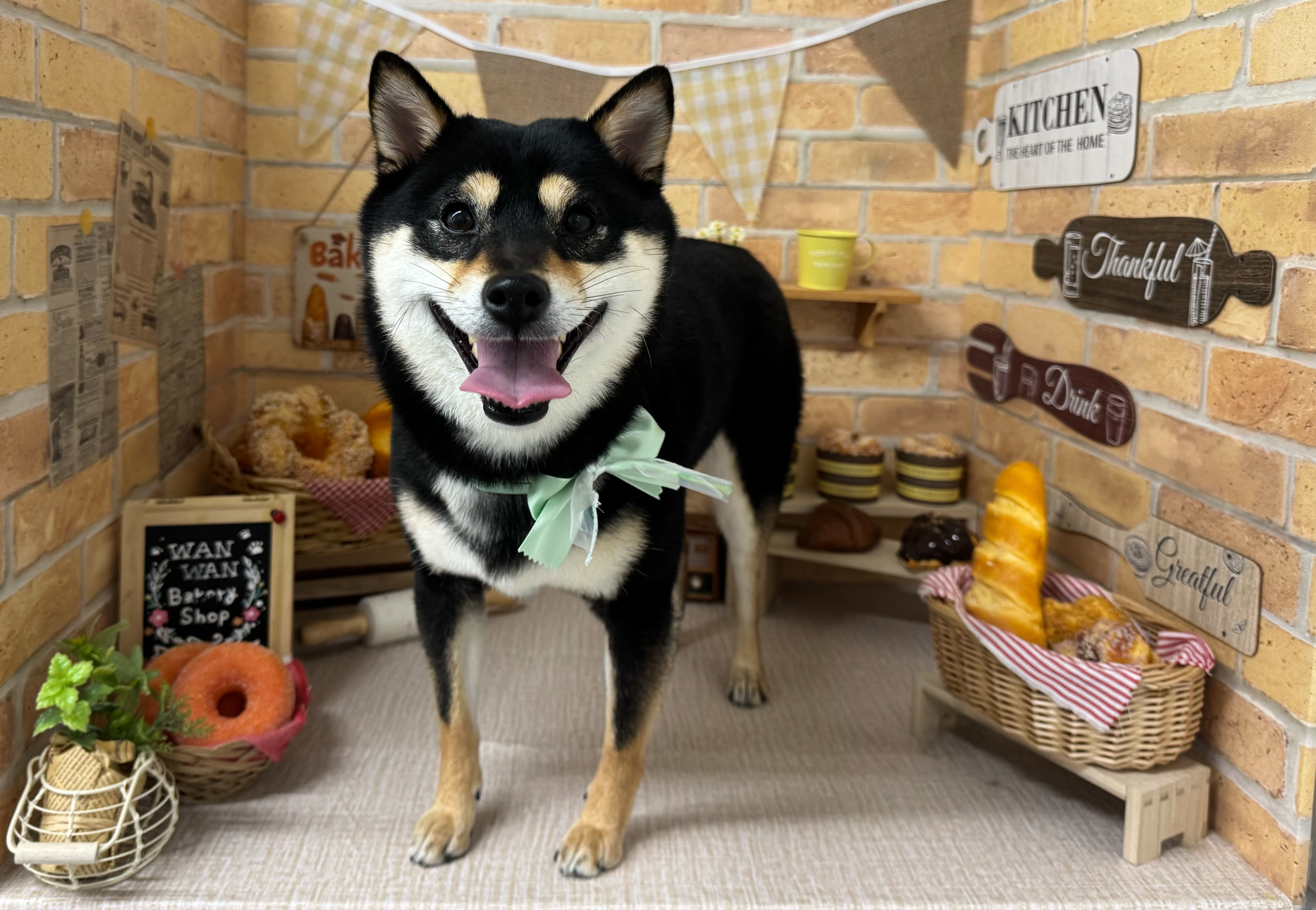 愛犬と飼い主の心が通う、みんなの笑顔が広がる場所