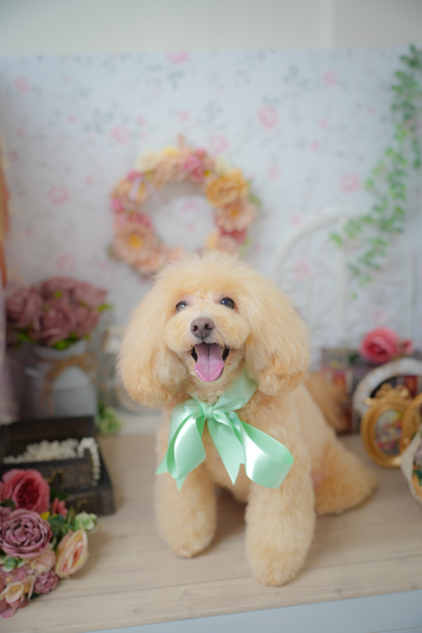 今すぐお問い合わせを！