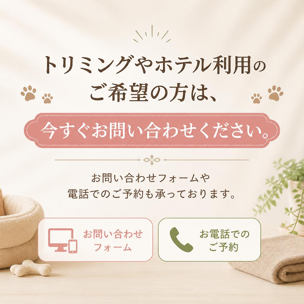 今すぐお問い合わせ・ご予約を！