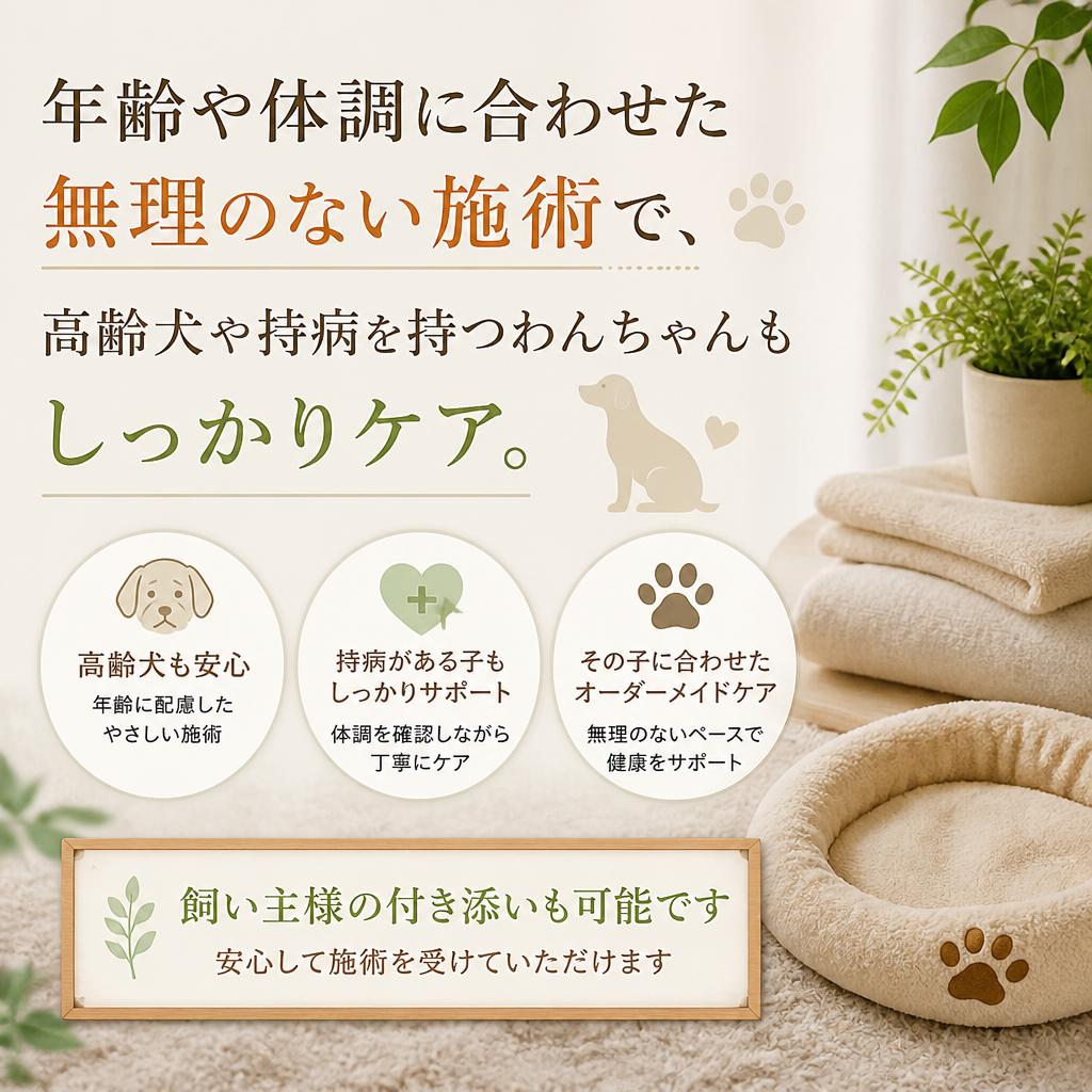 高齢犬にも優しいトリミング