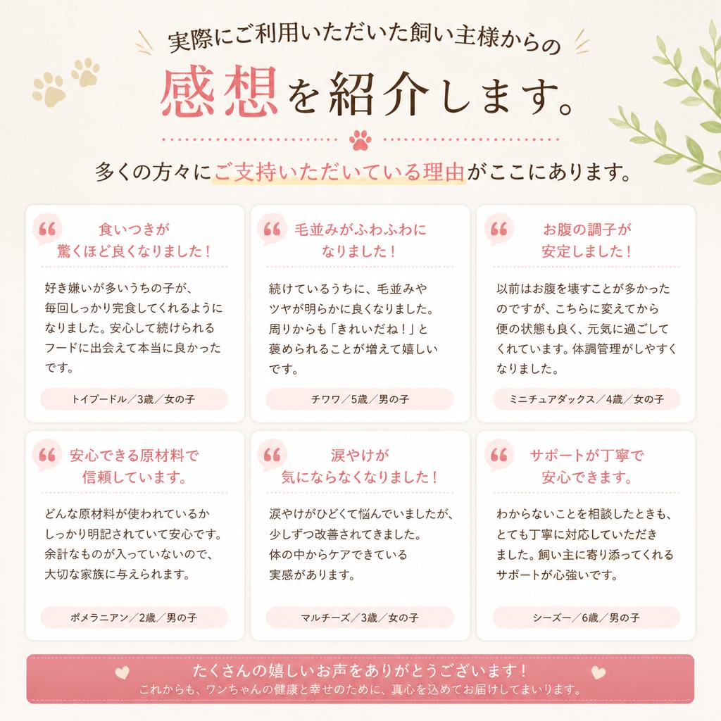 ご利用者の声