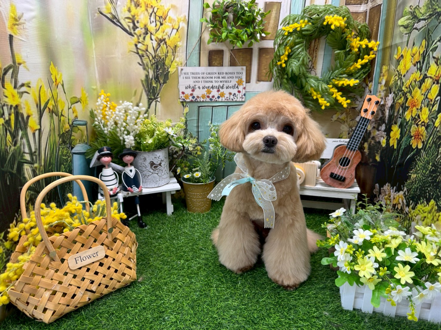 愛犬との素敵な生活を、池上・久が原・千鳥町で実現！