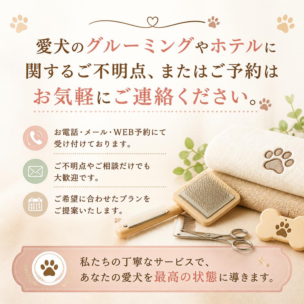 今すぐお問い合わせを！