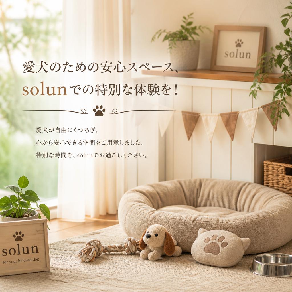 愛犬のための安心スペース、solunでの特別な体験を！