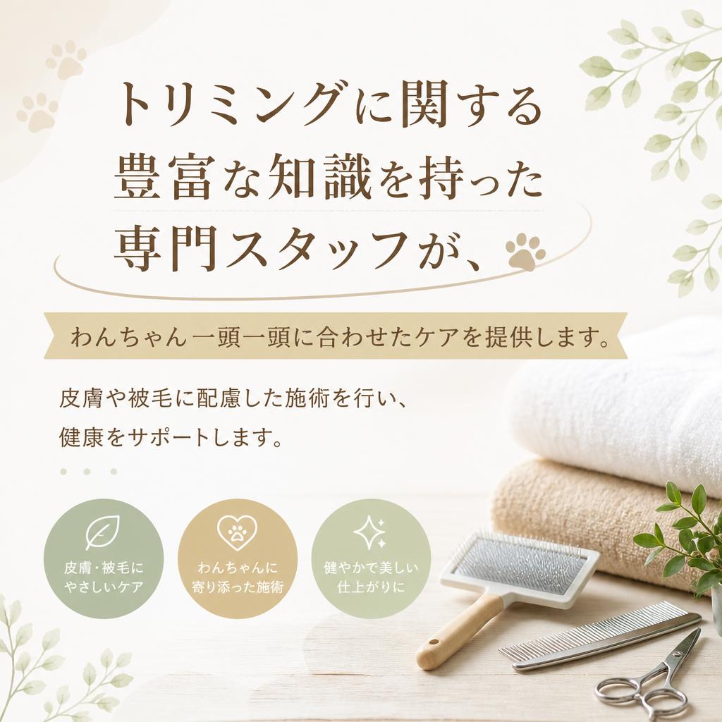専門家による安心・丁寧なケア