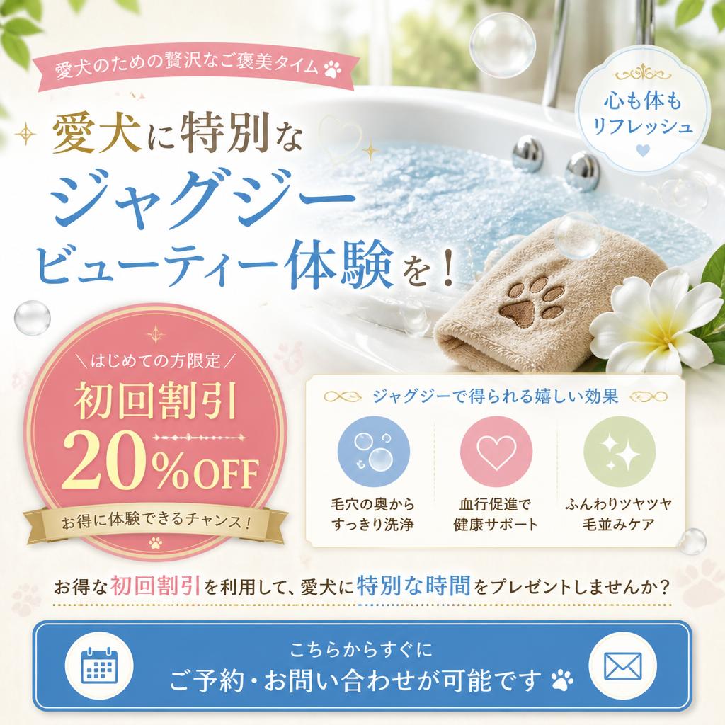 今すぐ予約・お問い合わせを！