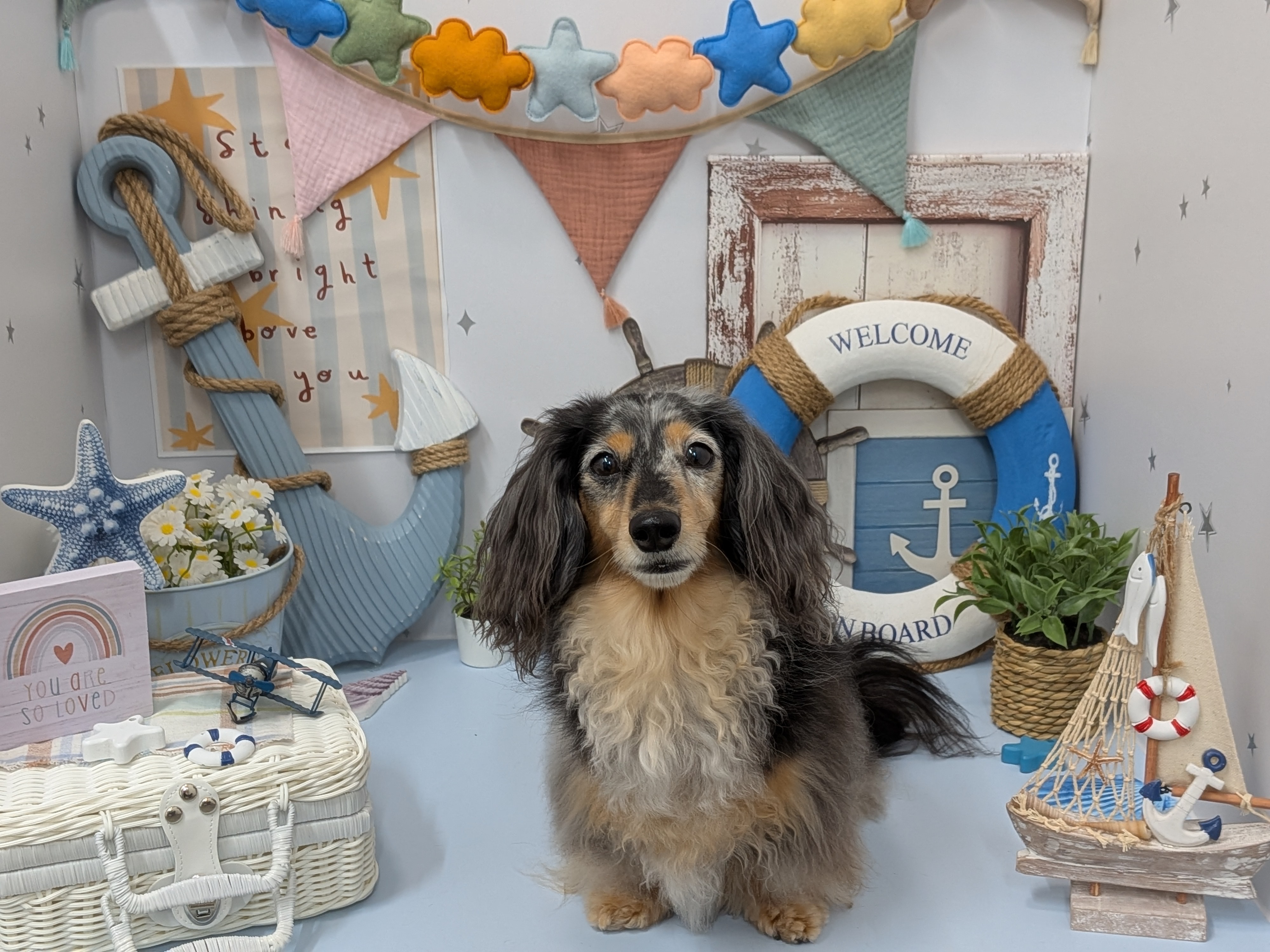 愛犬との絆を深める、安全で快適な環境をご提供します