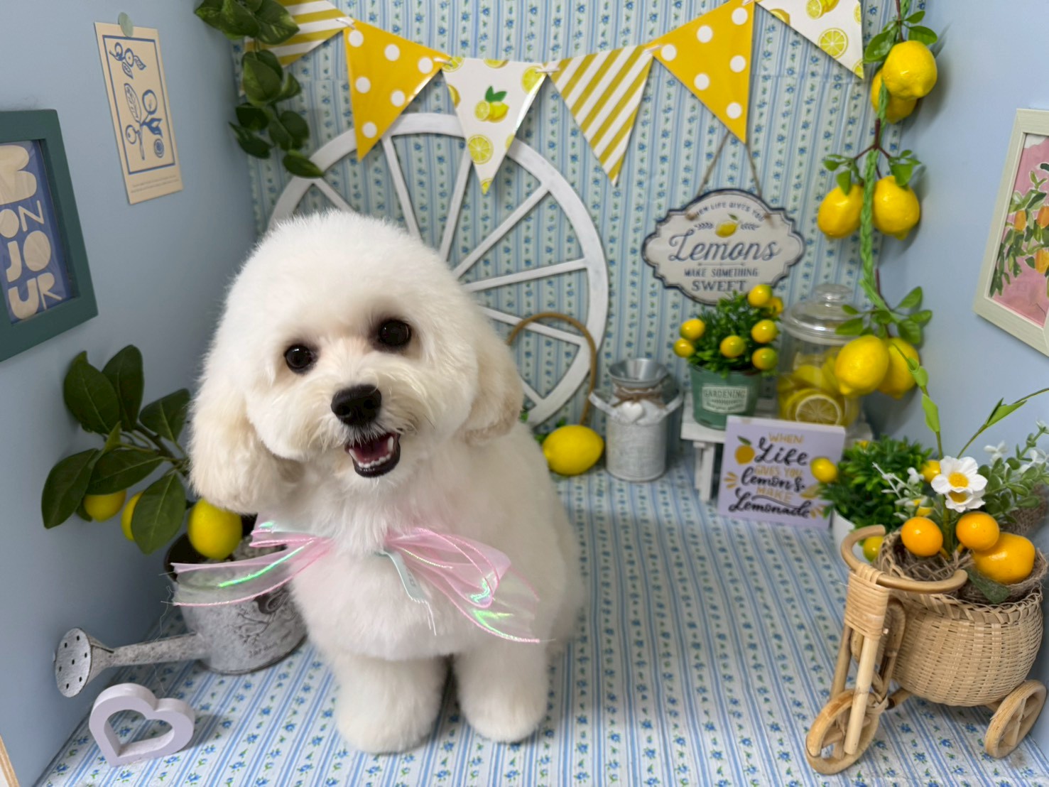 毎月の思い出をかわいい形で
