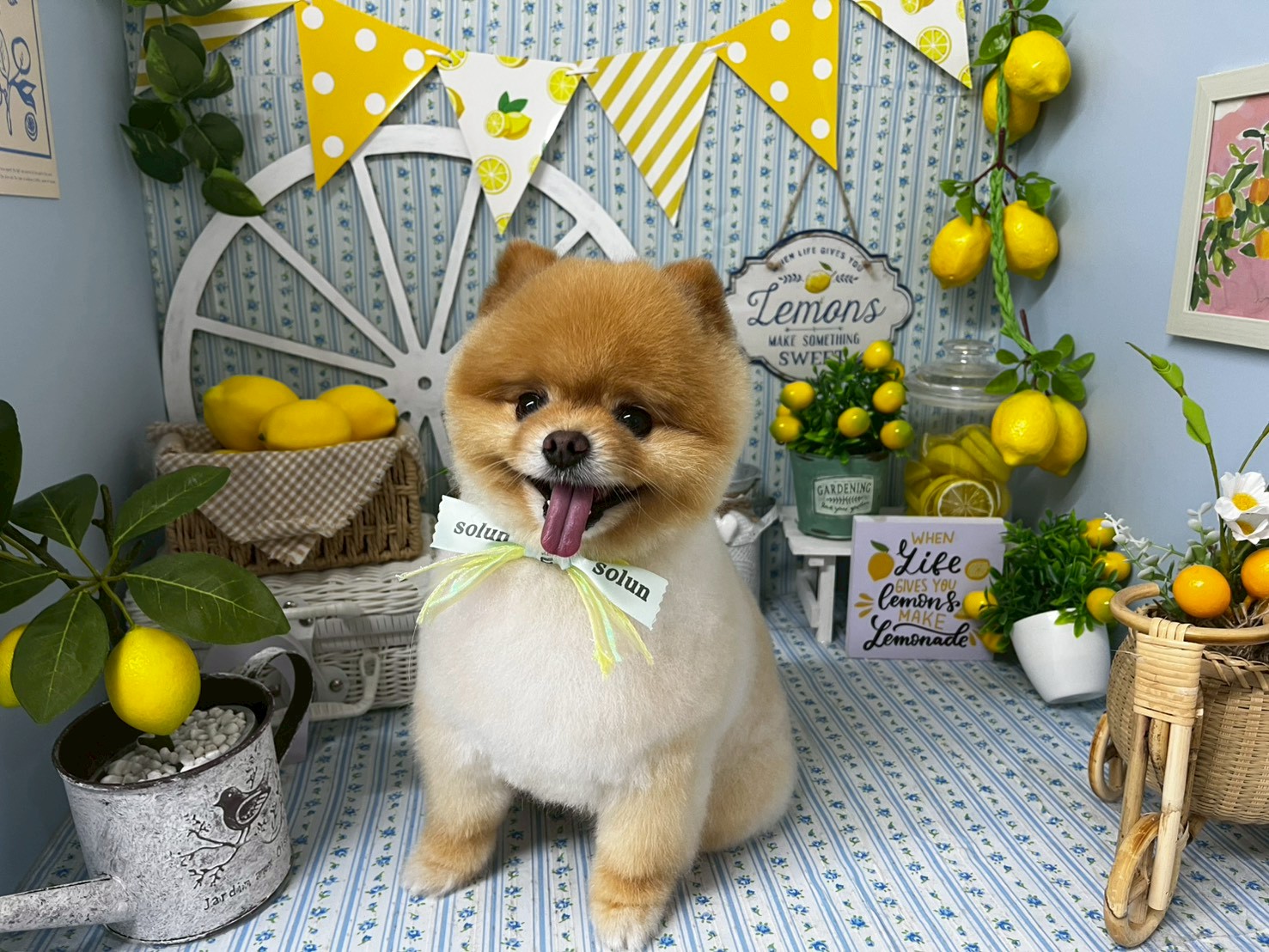 お問い合わせはお気軽に