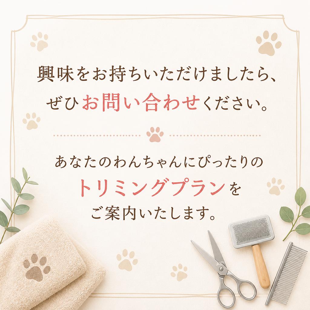 今すぐお問い合わせを！