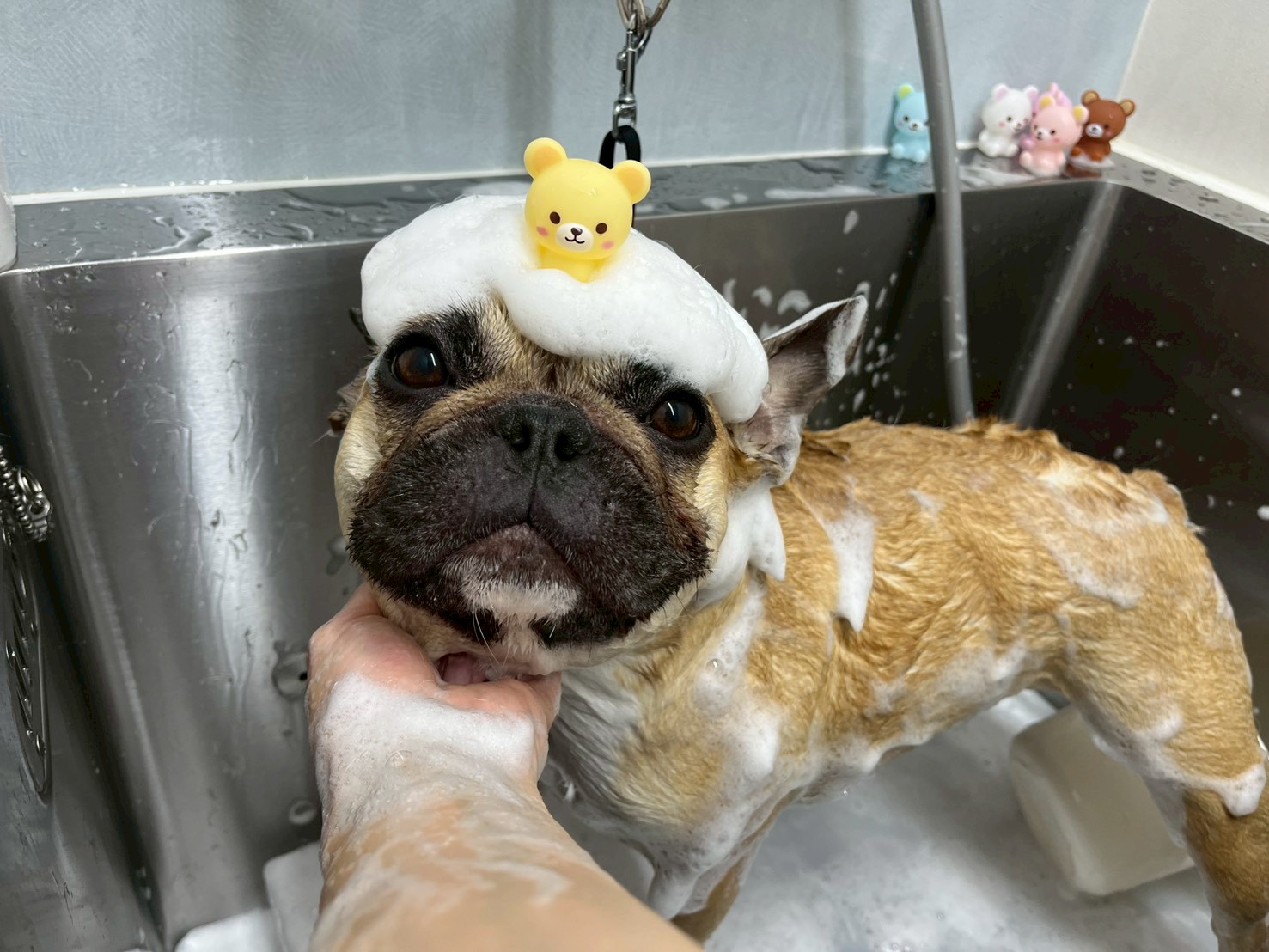 今すぐお問い合わせを！