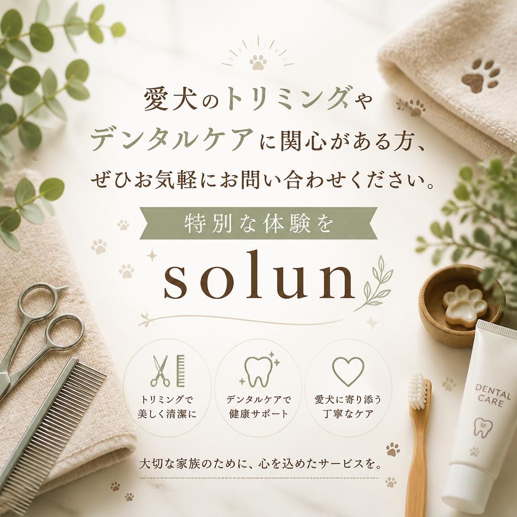 今すぐお問い合わせを！