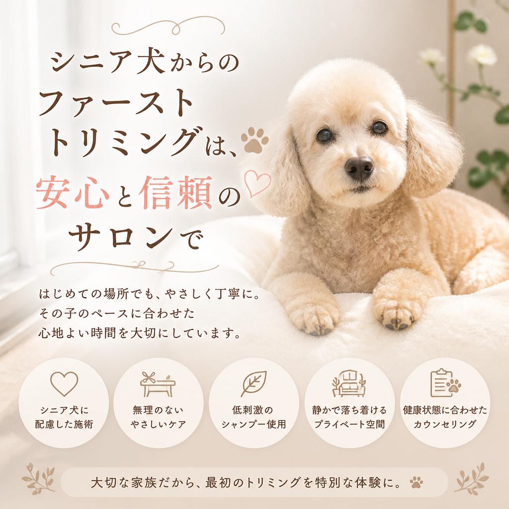 シニア犬からのファーストトリミングは、安心と信頼のサロンで