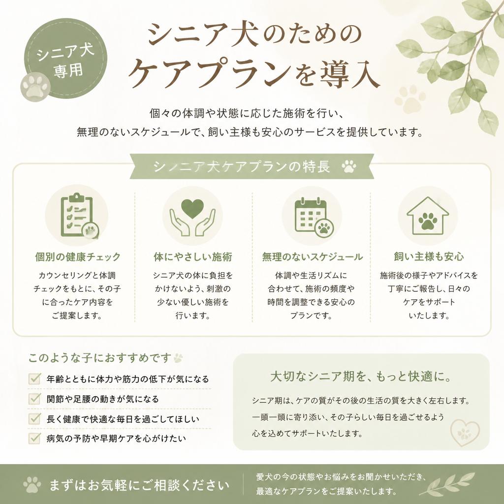 高齢犬ケアで安心を