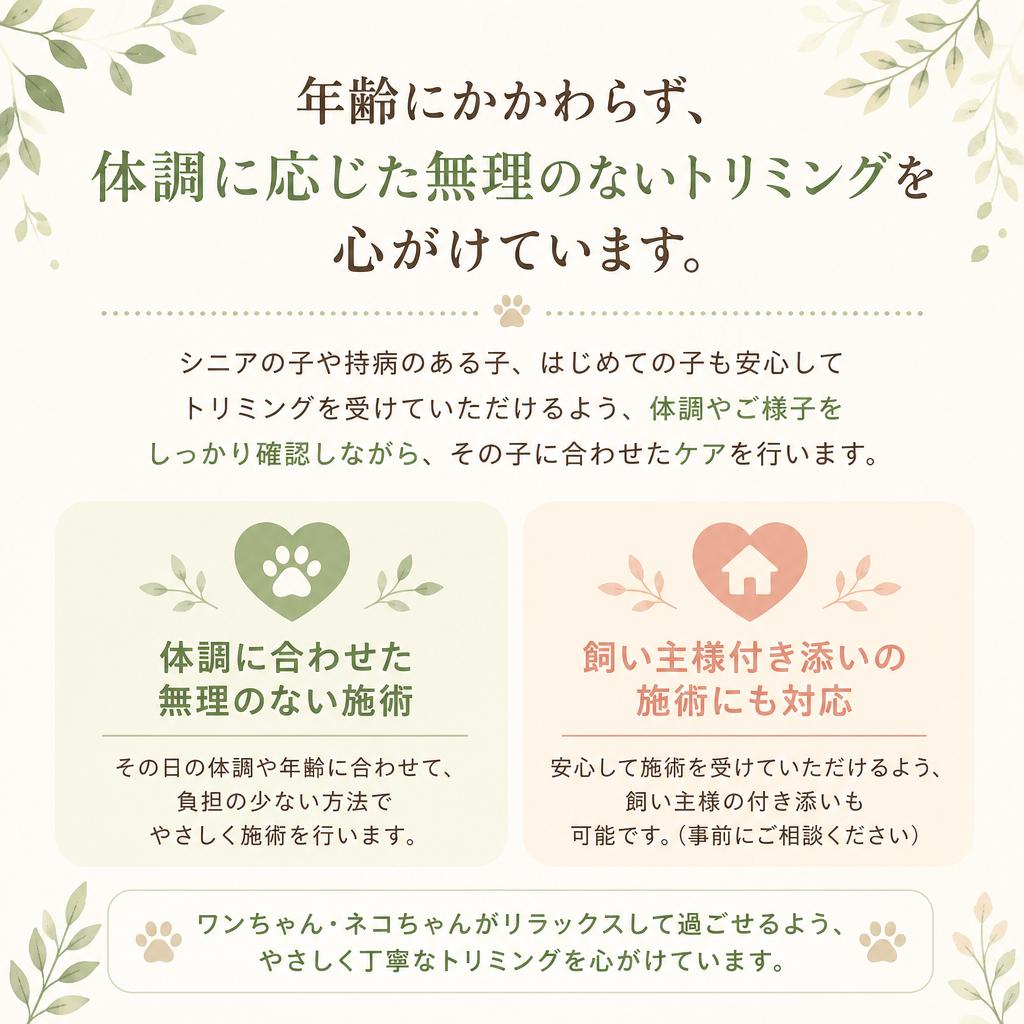 シニア犬も安心して利用可能