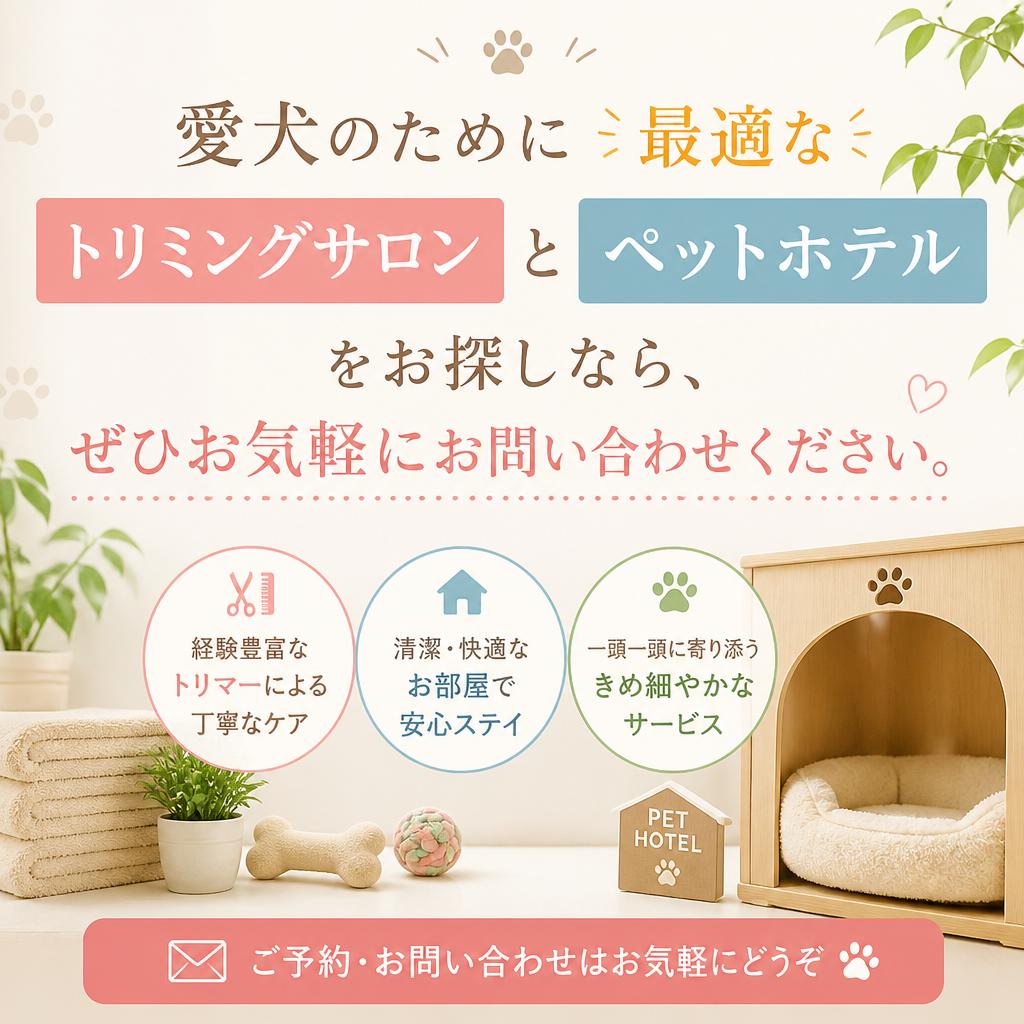 今すぐお問い合わせを！