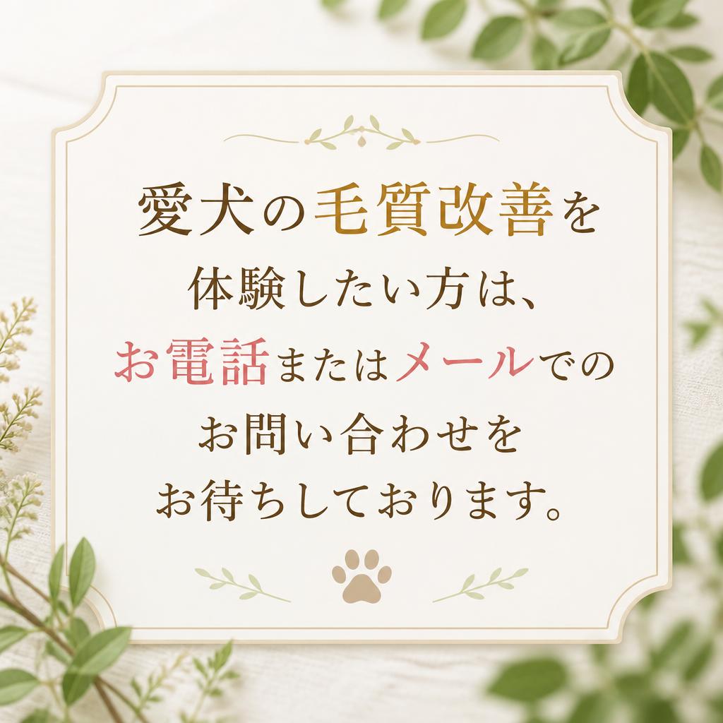 今すぐご予約・お問い合わせ！