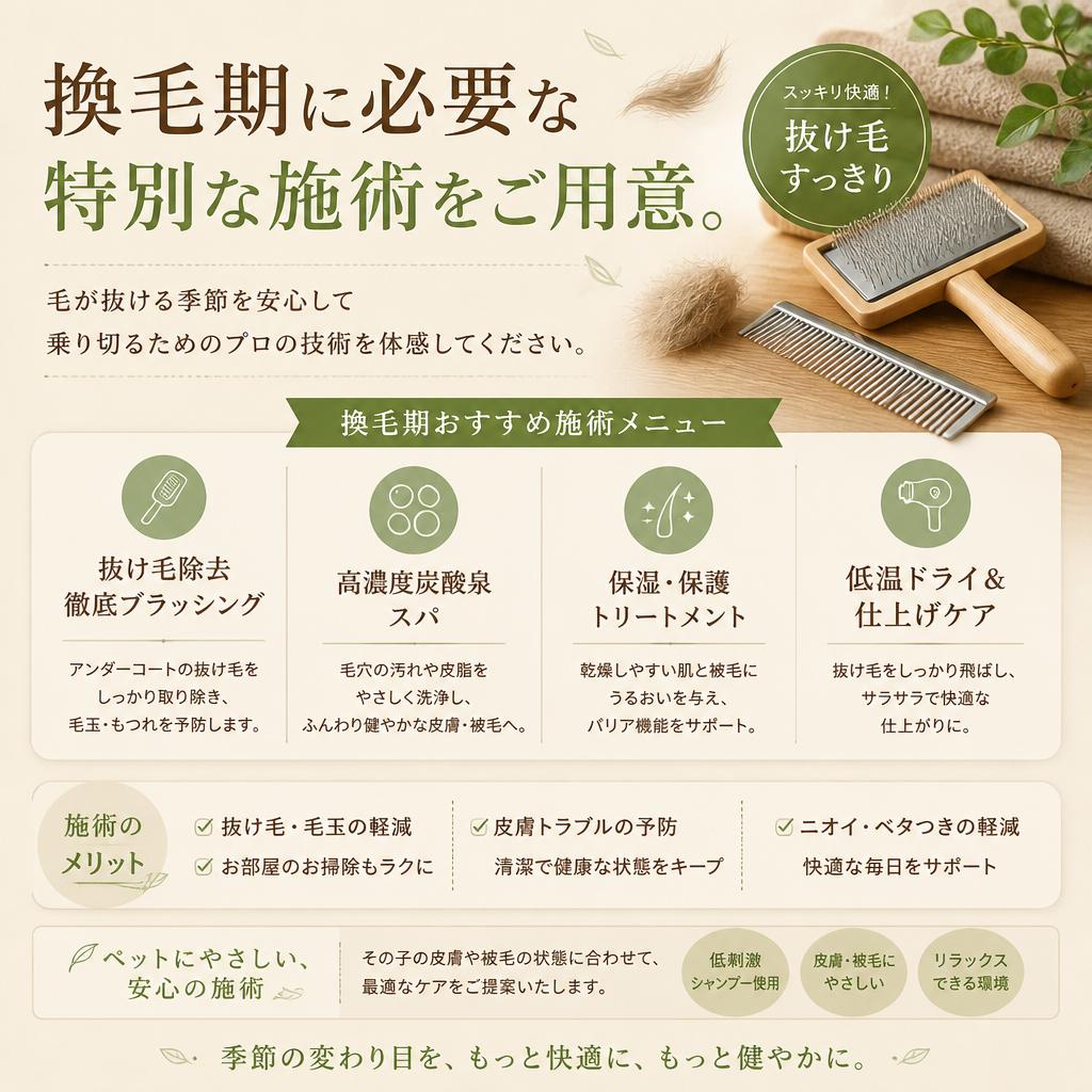 換毛期の特別ケア