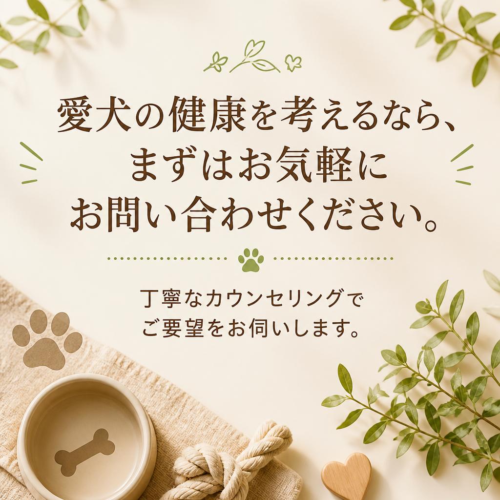 今すぐお問い合わせを！