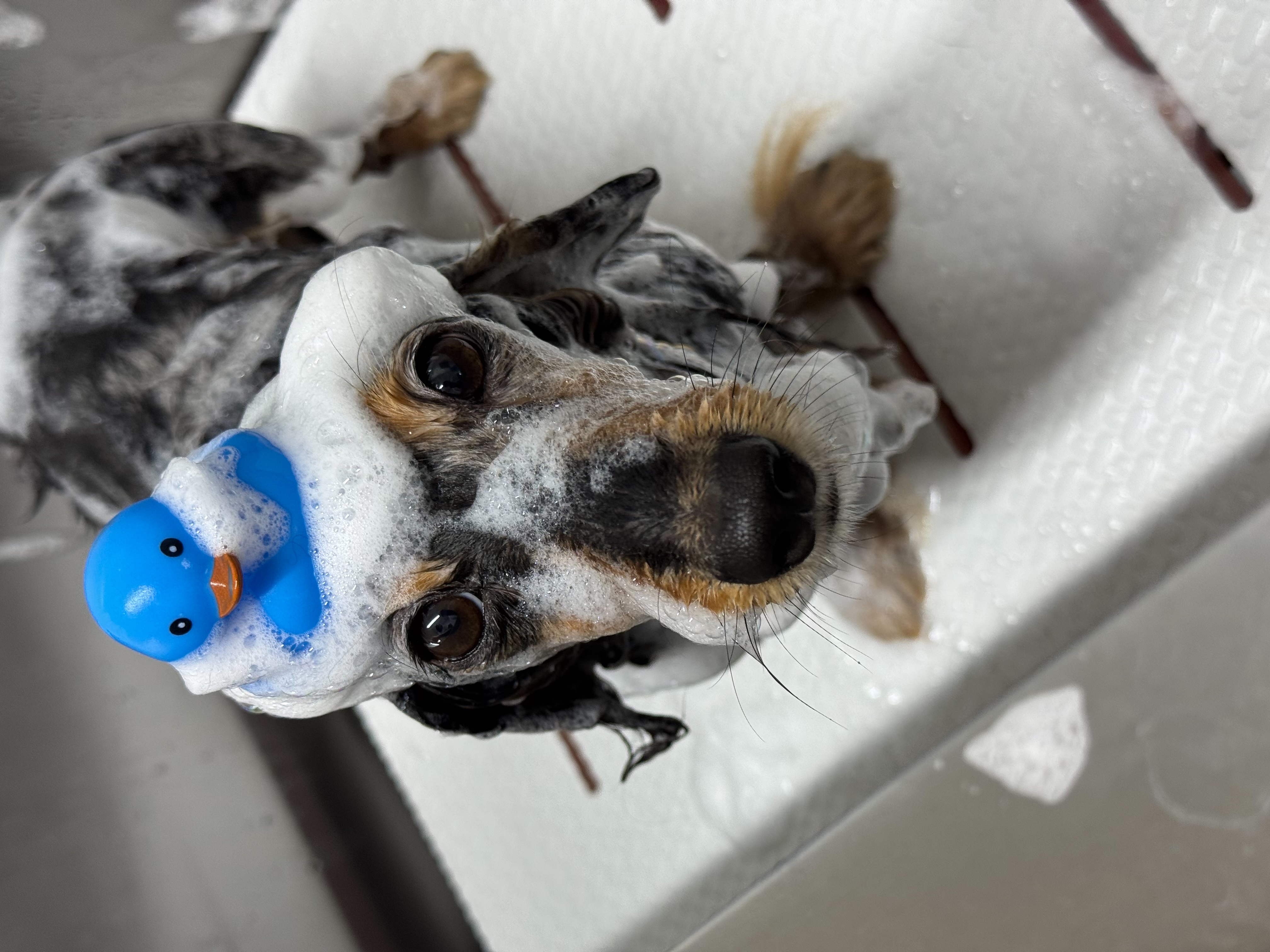 安心の健康管理