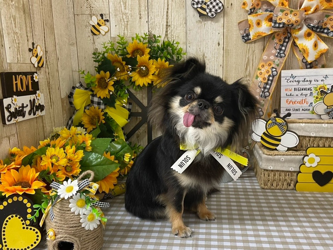 お問い合わせはこちらから