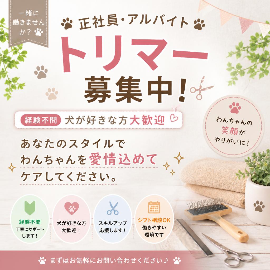 募集要項