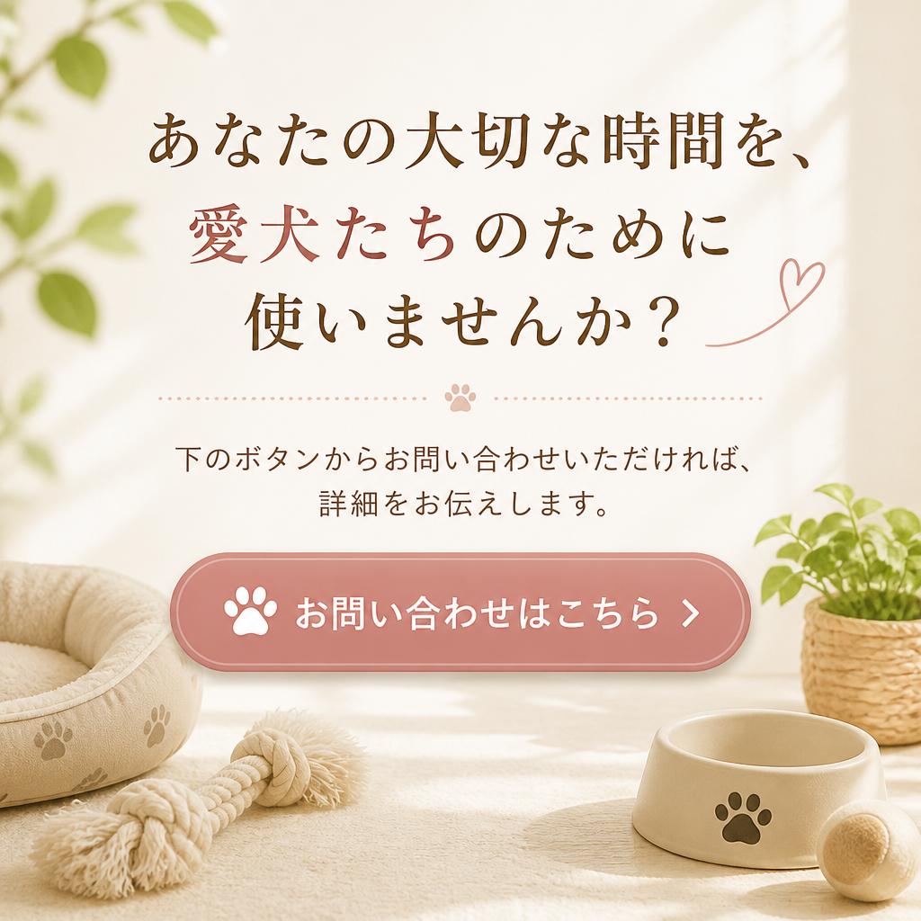今すぐ応募しよう！