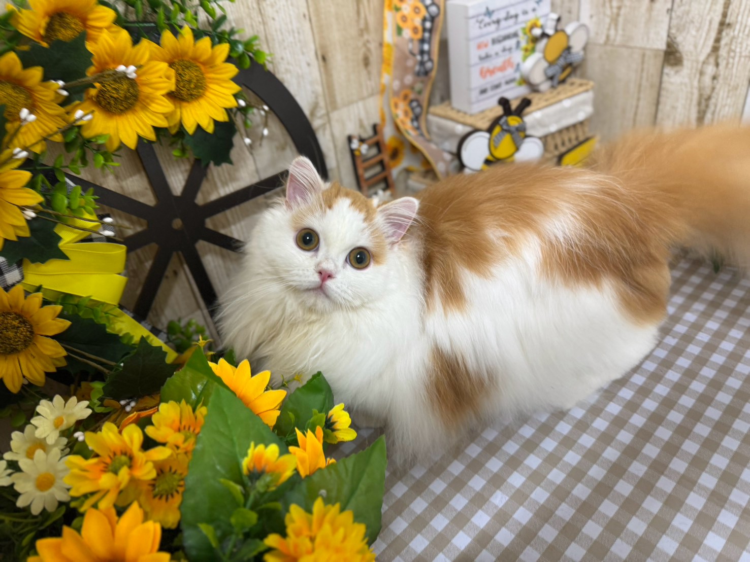 リラックスできる環境