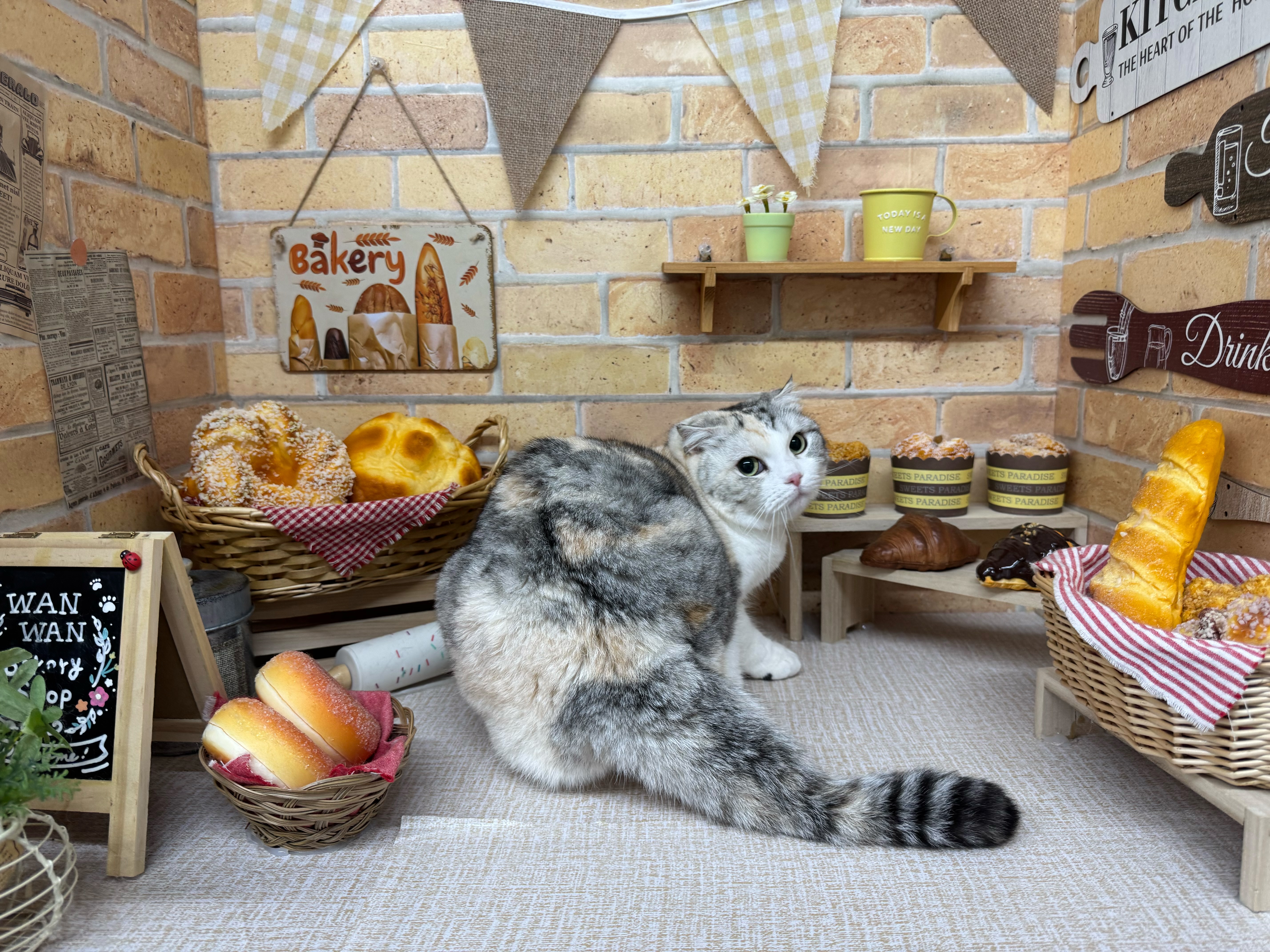 猫専用の設備が充実