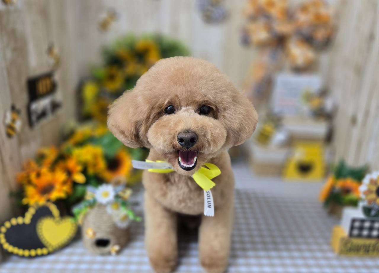 お問い合わせで新たな一歩を