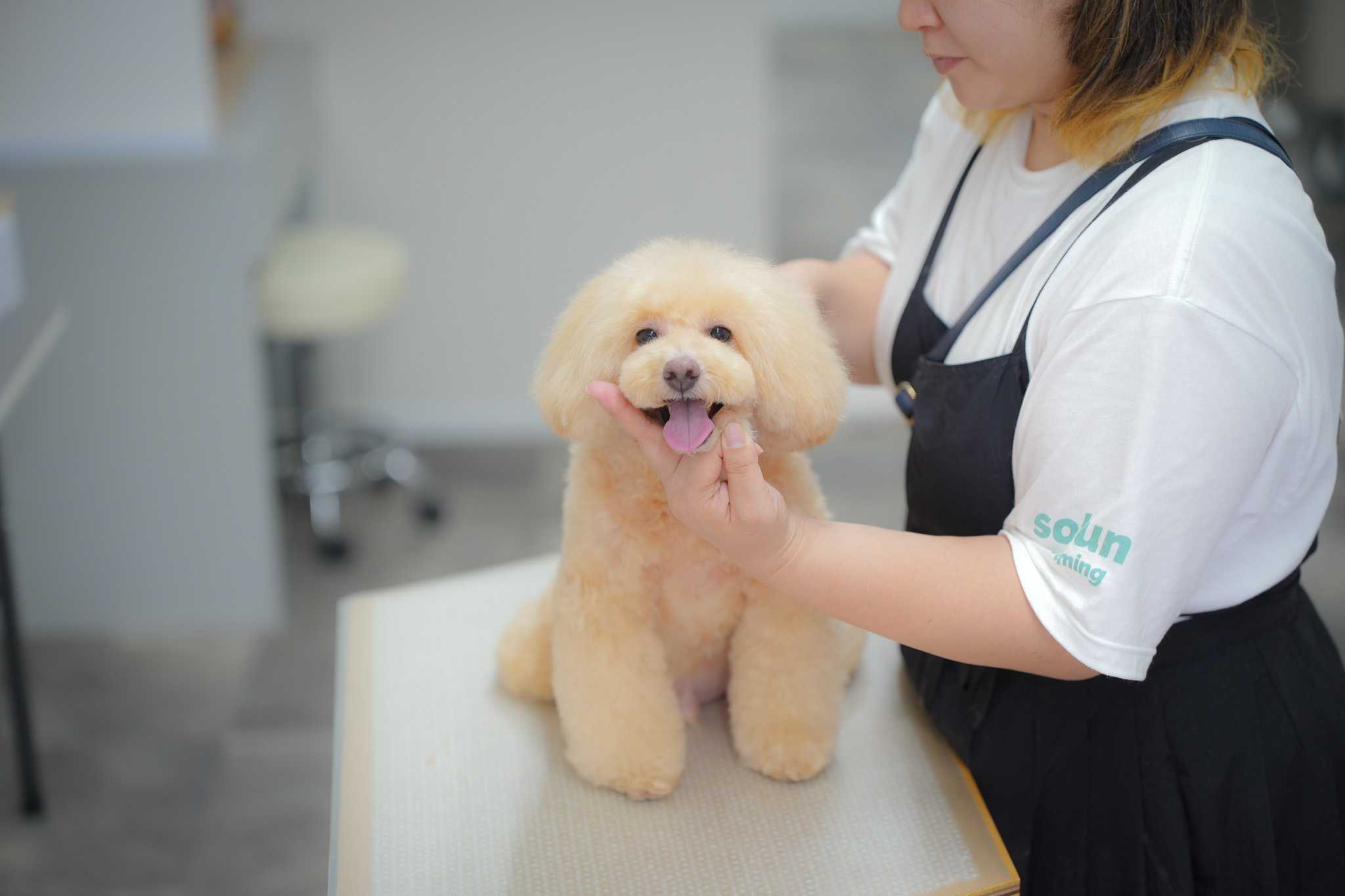 愛犬の健康、サポートします。