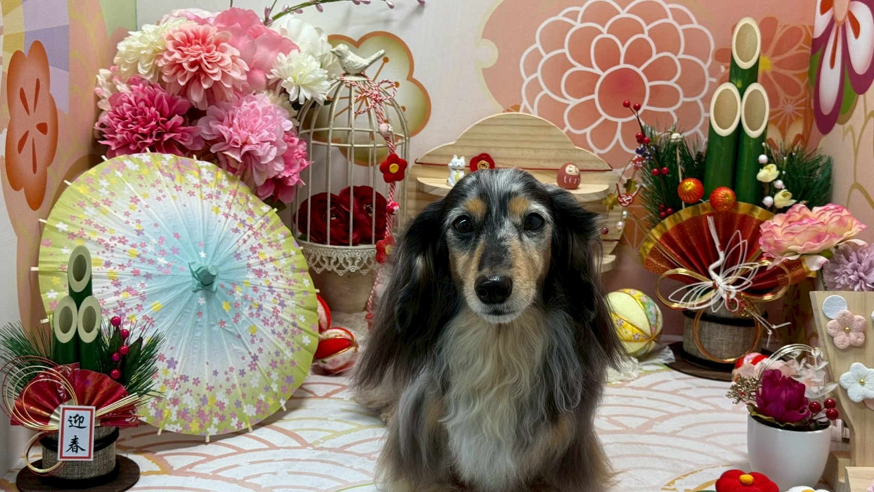飼い主様の声を大切に