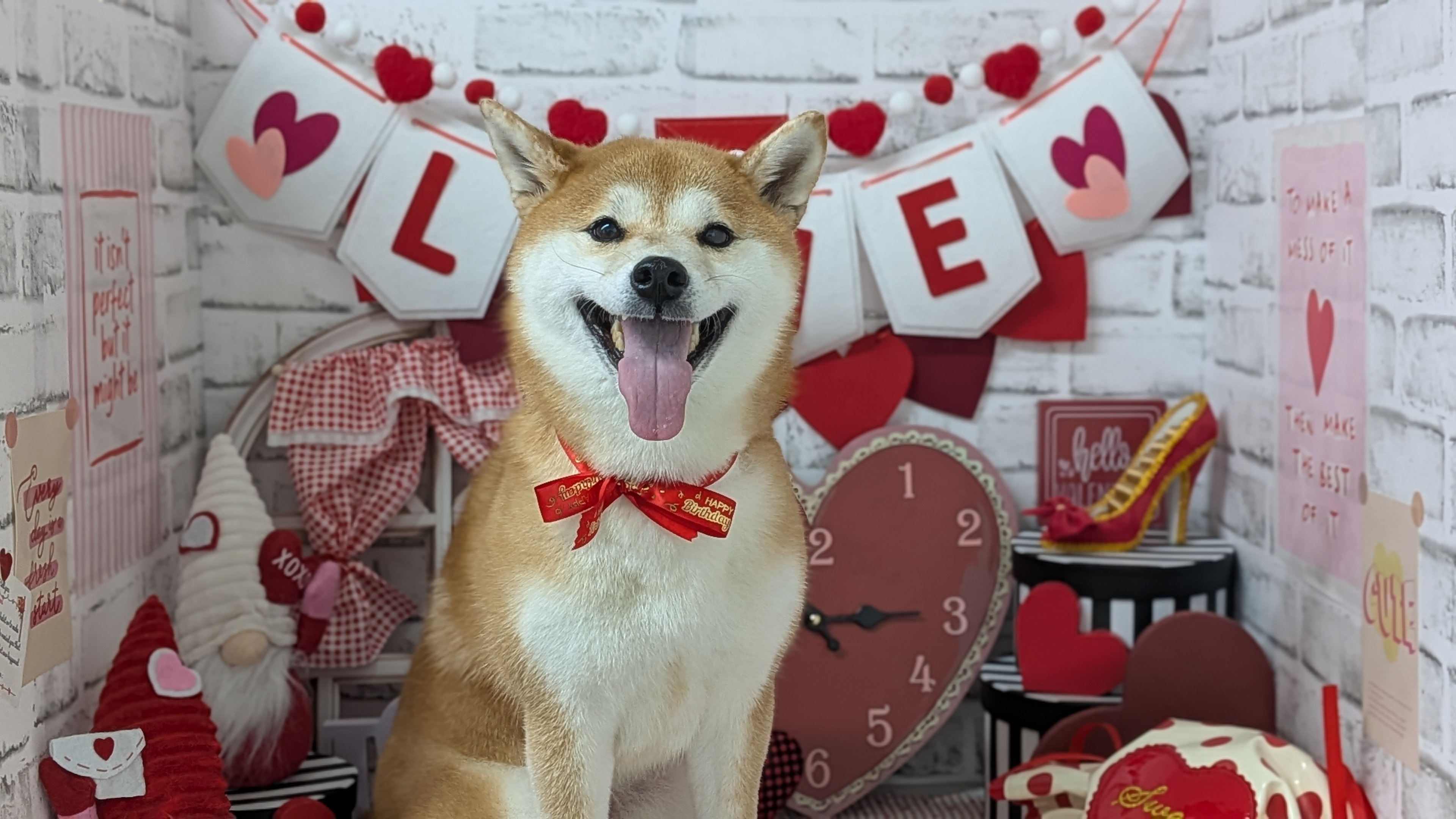 愛犬の健康は笑顔から！